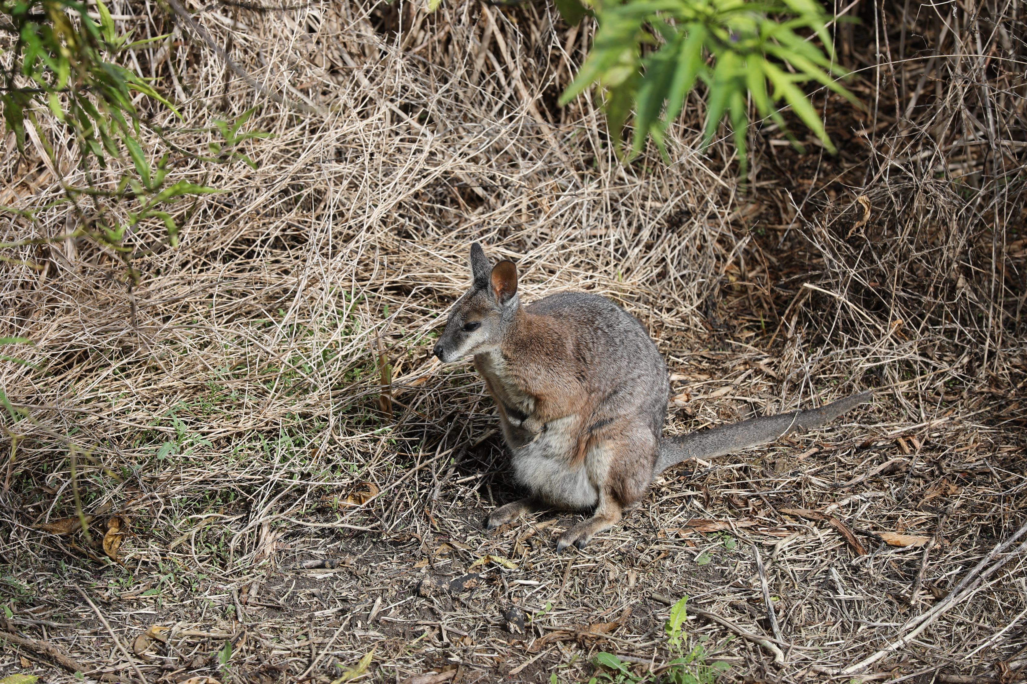2019 10 07 15 12 58 Canon EOS 5D Mark IV 0025